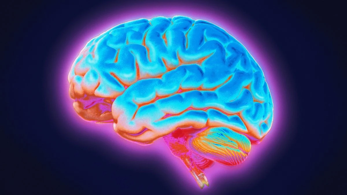Nowe odkrycie: choroba Parkinsona może mieć źródło w głębszej sieci mózgowej