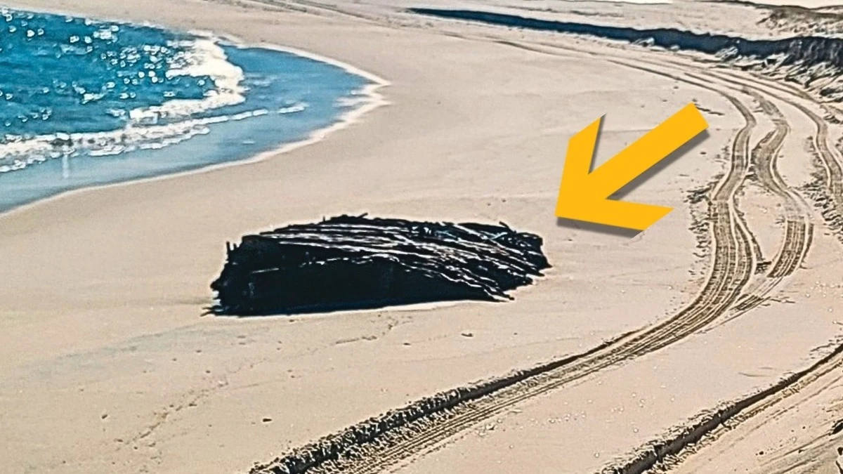 Sztorm odsłonił 140-letni wrak statku na plaży w New Jersey