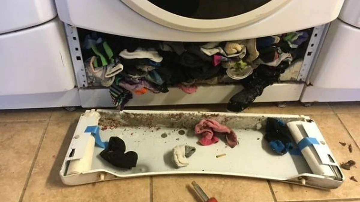 Dlaczego skarpetki znikają w pralce? Tiktokerka znalazła odpowiedź za bębnem - image 1