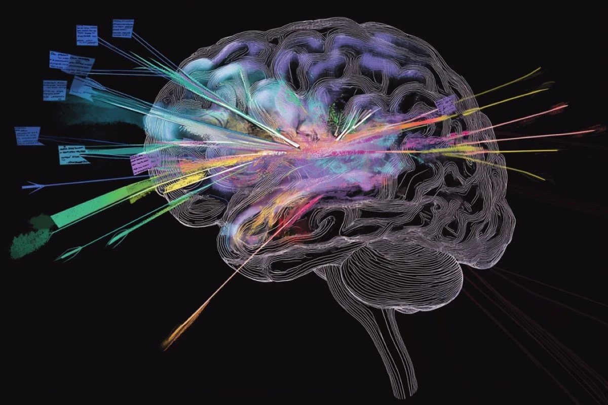 jakmozgpozbywas-extra-1.webp Jak mózg pozbywa się śmieci? Nowe odkrycie rzuca światło na ryzyko Alzheimera - image 1