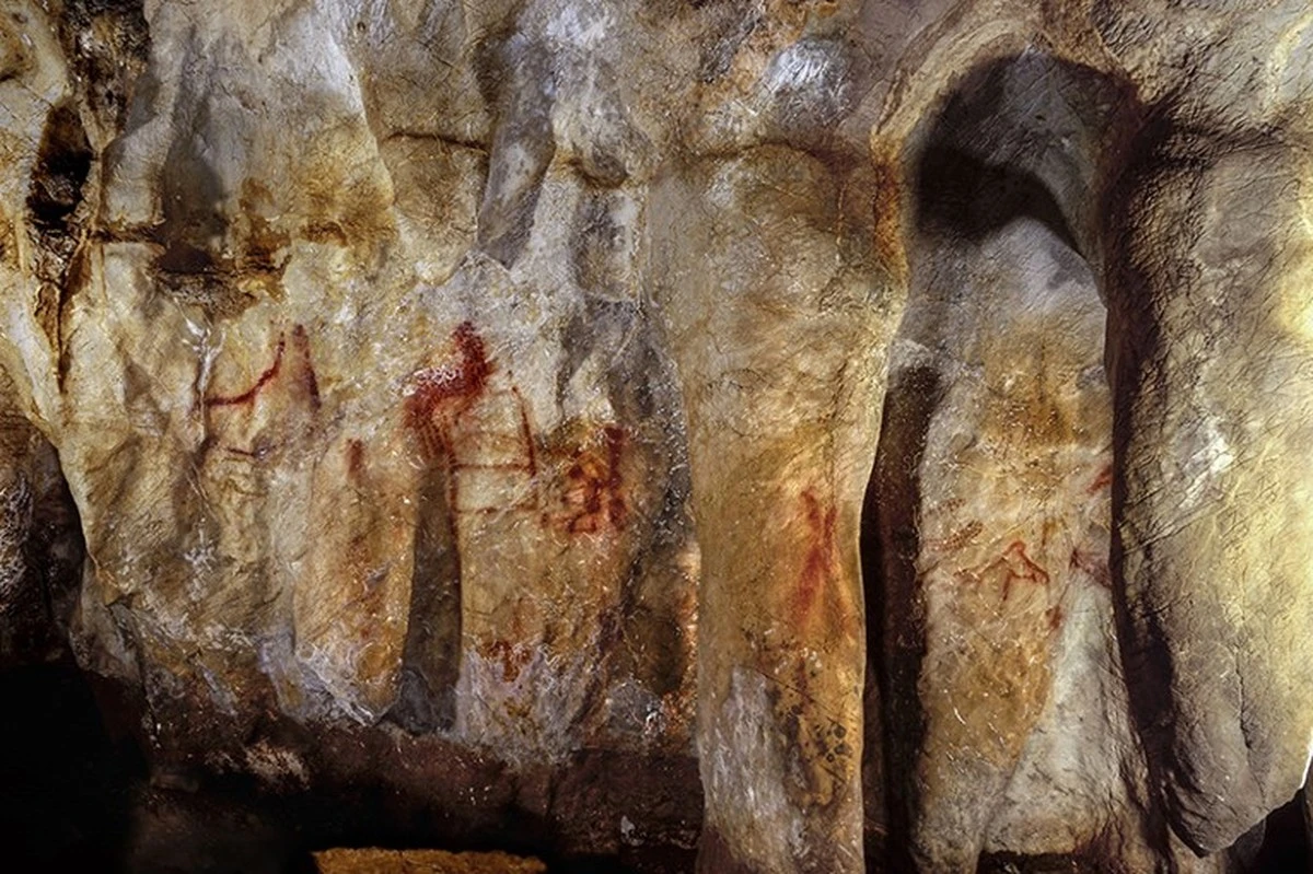 Neandertalczycy kolekcjonowali czaszki zwierząt w jaskini. Archeolodzy wciąż szukają odpowiedzi - image 1
