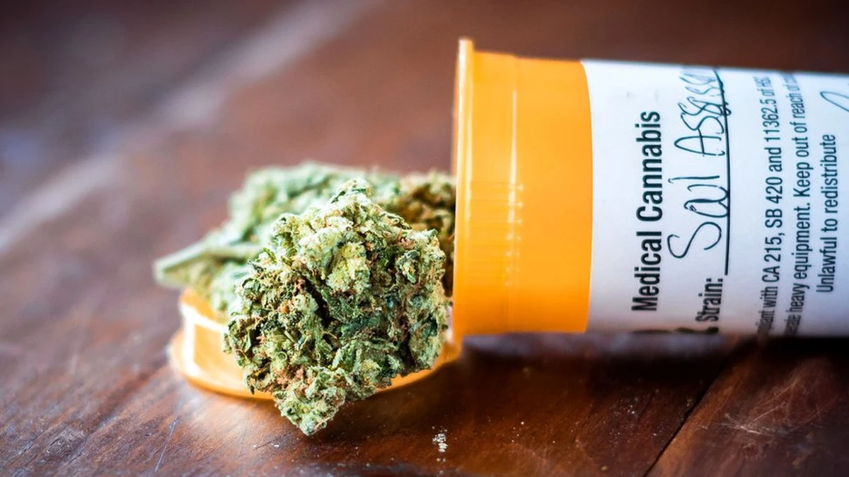 czymedycznamari-extra-1.webp Czy medyczna marihuana naprawdę pomaga na problemy psychiczne? Wielka analiza daje odpowiedź - image 1