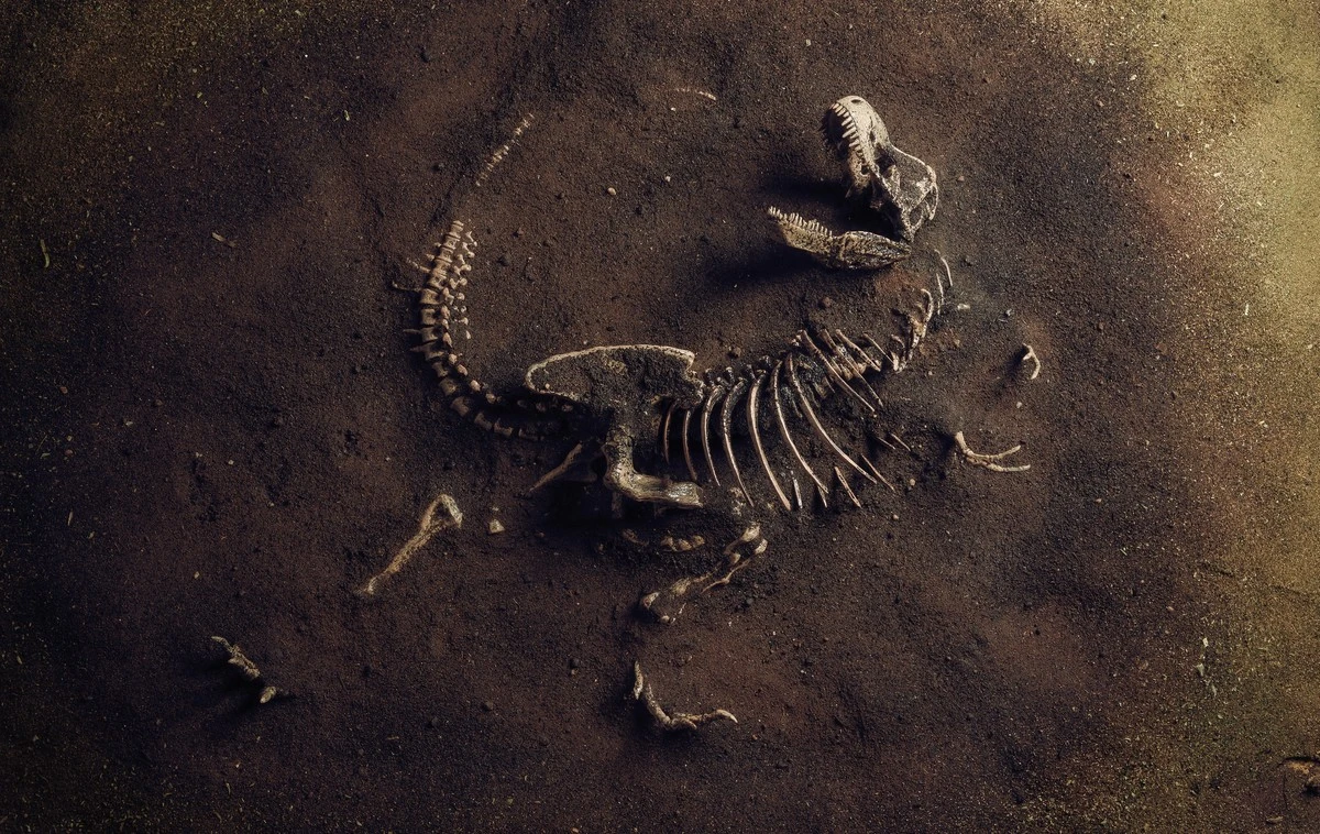 dinozaursprzed1-extra-1.webp Dinozaur sprzed 120 milionów lat połączył dwa kontynenty. Jego odkrycie to klucz do zrozumienia migracji - image 1
