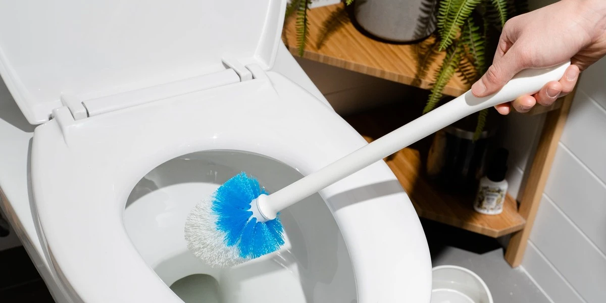 Domowe kostki czyszczące: jak usunąć kamień z muszli sodą i kwaskiem cytrynowym - image 1