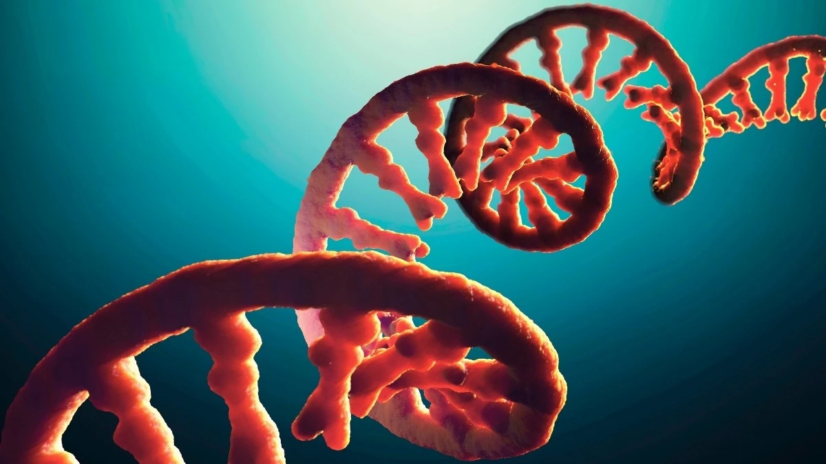 Genetyczny „mrok”: jak nieznana część DNA może zrewolucjonizować leczenie chorób