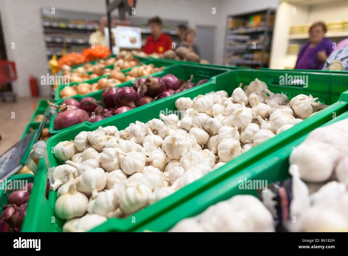 tanijakbarszcza-extra-1.webp Tani jak barszcz, a plon jak z działki dziadka. Sadź czosnek z supermarketu, a zobaczysz cuda - image 1
