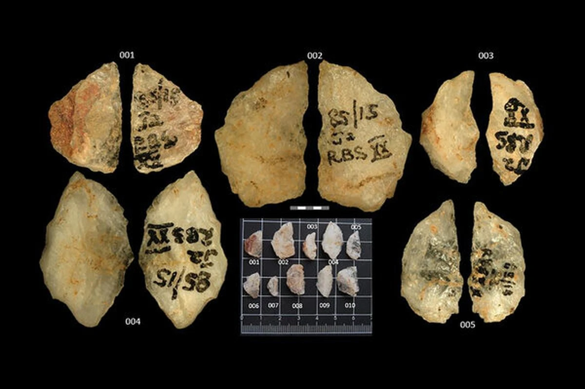 Najstarsze groty strzał na świecie odkryte w Uzbekistanie. Czy stworzyli je neandertalczycy? - image 1