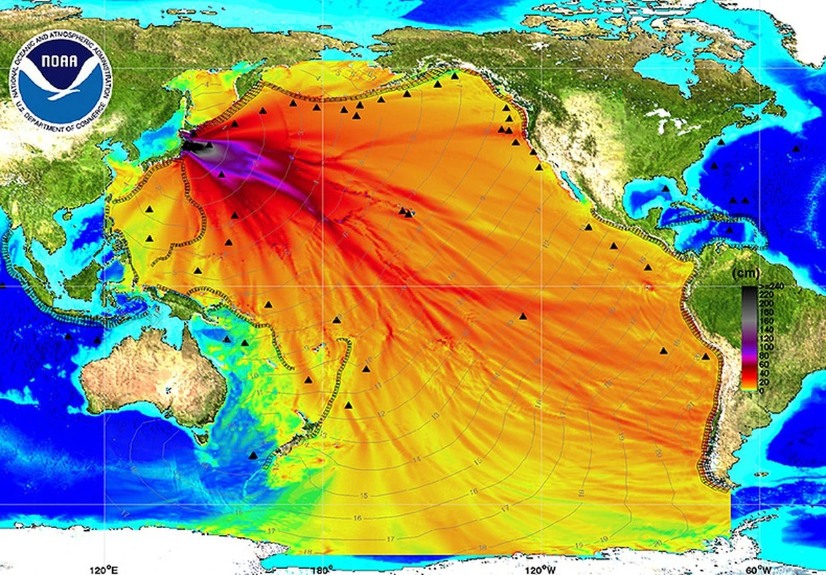 Mikroby z Fukushimy: Niezwykłe przetrwanie w strefie skażenia - image 1