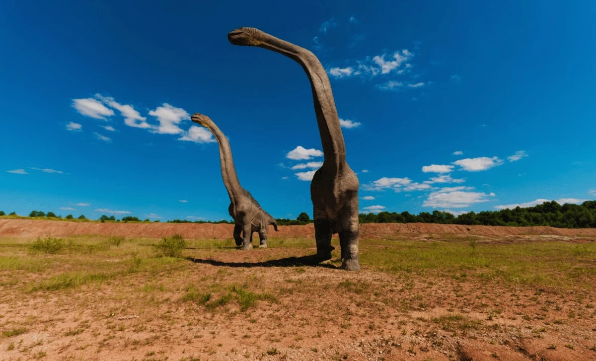 Dinozaur sprzed 120 milionów lat połączył dwa kontynenty. Jego odkrycie to klucz do zrozumienia migracji