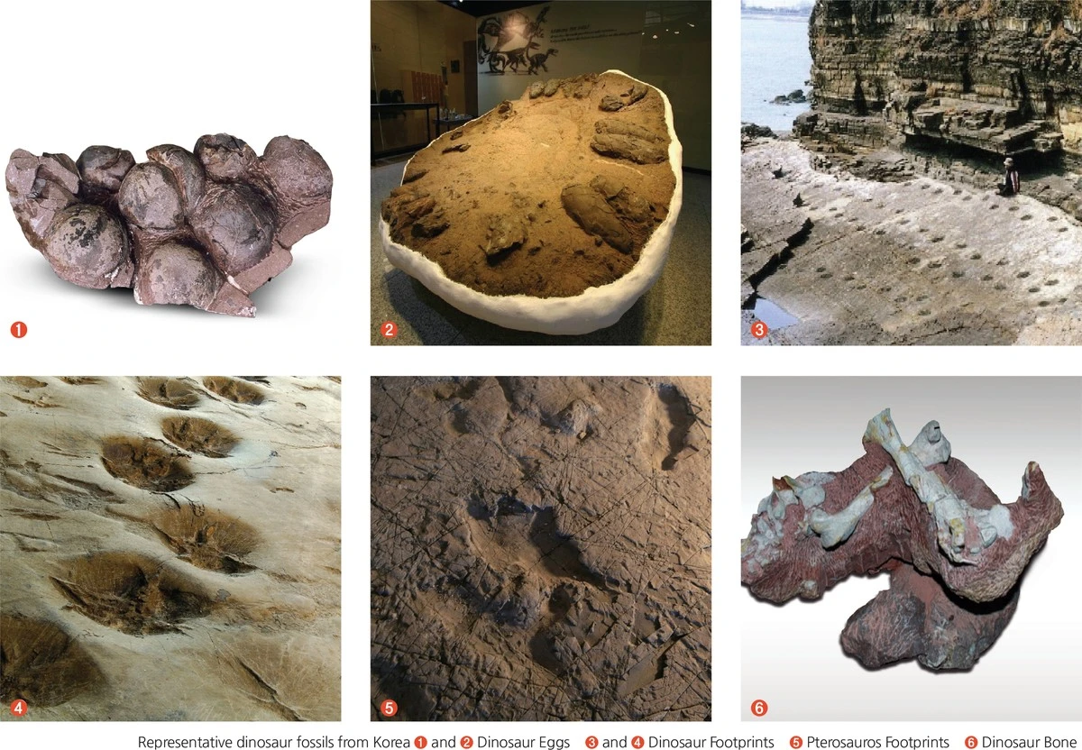 Nowy gatunek dinozaura odkryty w Korei. Ten mały GIGANT ma zaskakujące powiązanie ze znanych kreskówką - image 1