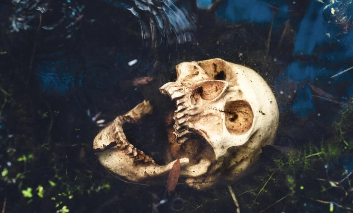 Naukowcy odkryli ludzkie szczątki sprzed 6000 lat, których DNA nie pasuje do żadnej współczesnej populacji