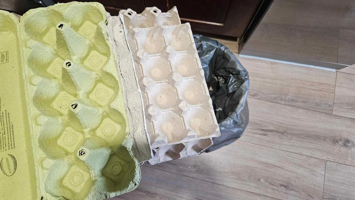Opakowanie po jajkach: Gdzie wyrzucić? Wystarczy spojrzeć na ten jeden szczegół