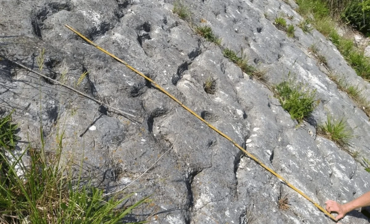 80 milionów lat w dół: Włoscy alpiniści odkryli ślady prehistorycznych morskich gadów