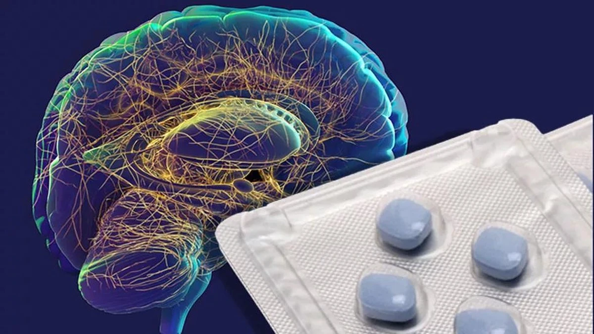 viagraiinneleki-extra-1.webp Viagra i inne leki ratują mózgi. Eksperci wskazują nowe cele w walce z Alzheimerem - image 1