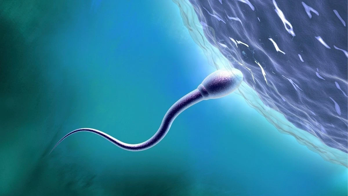 Naukowcy biją na alarm: zdrowie seksualne w kosmosie to terra incognita