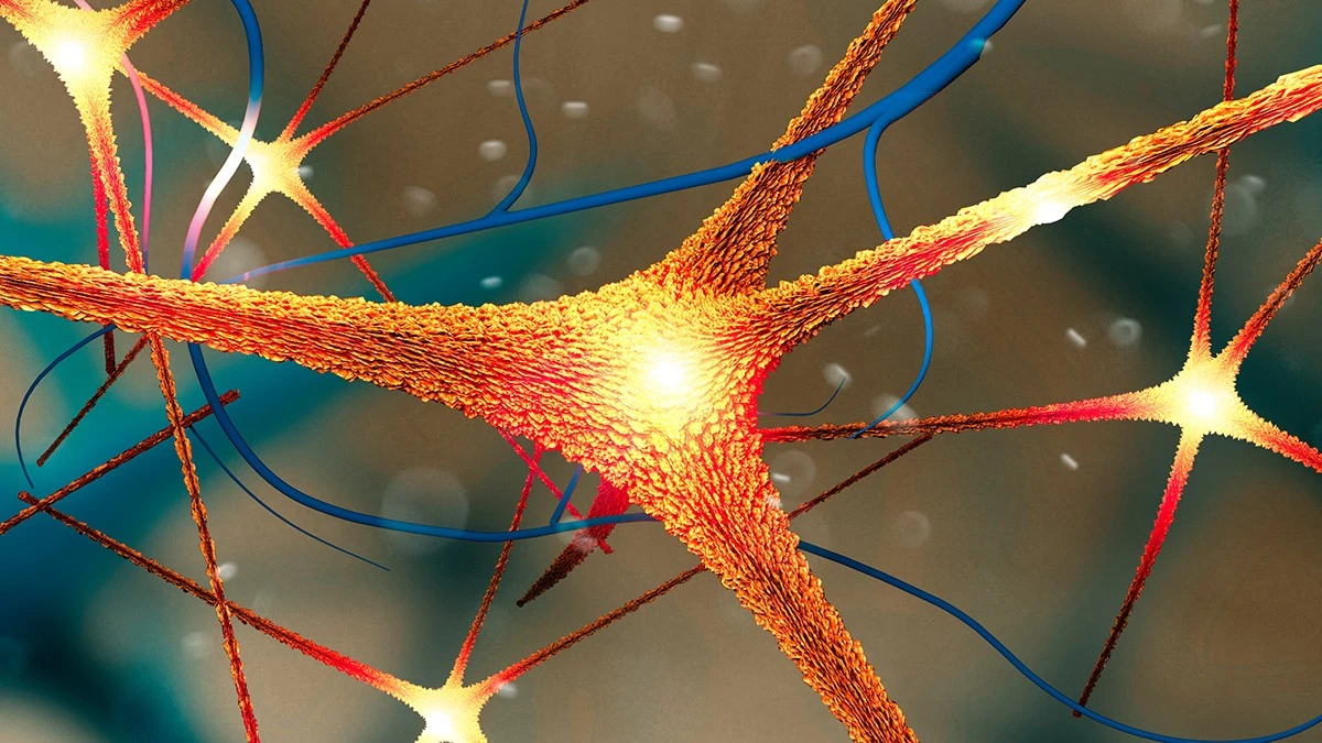 Białko Parkinsona, Kobiety i Zagadka Alzheimera: Nowe Spojrzenie na Nierówność Płci
