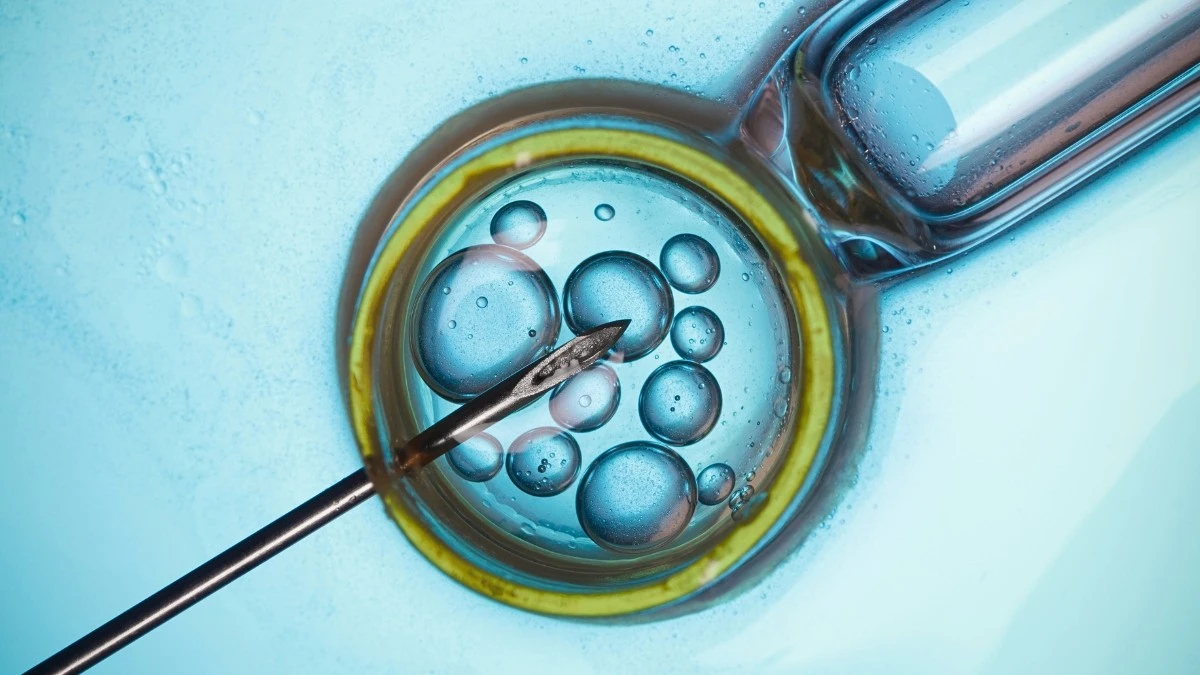 Badania: in vitro nie zwiększa ryzyka raka, ale są pewne " ALE "