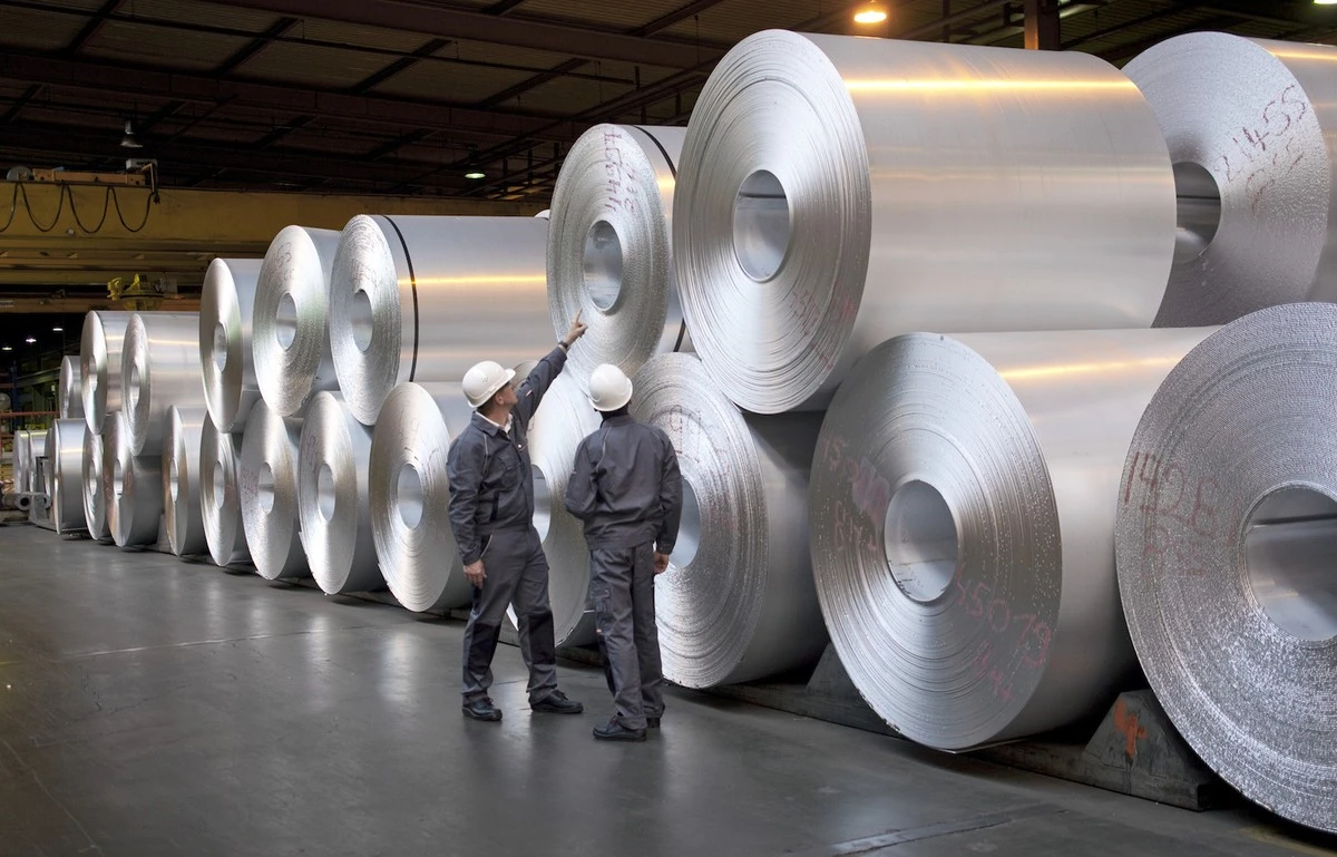 Język teściowej pokocha ten trik z folią aluminiową. Zyskasz piękniejsze liście i mniej szkodników - image 1