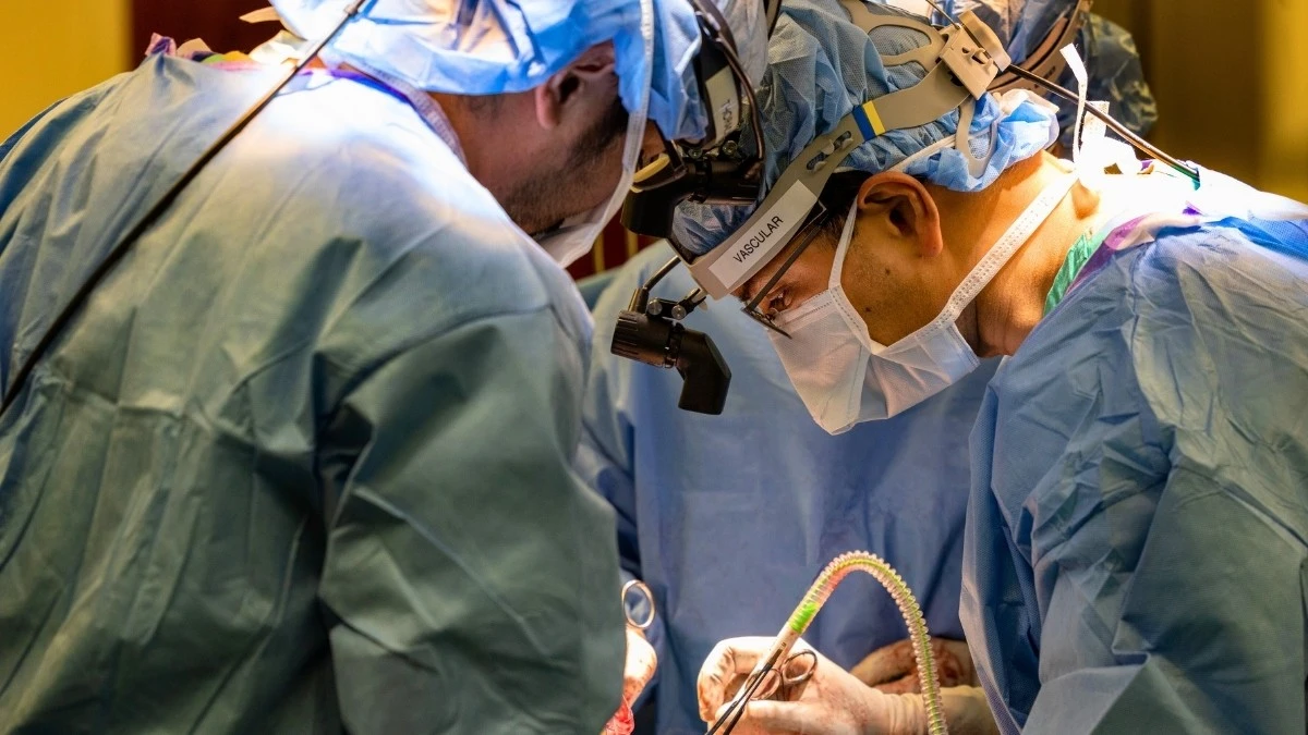 Surgeons Kept Man Alive Without Lungs For 48 Hours With Revolutionary Device