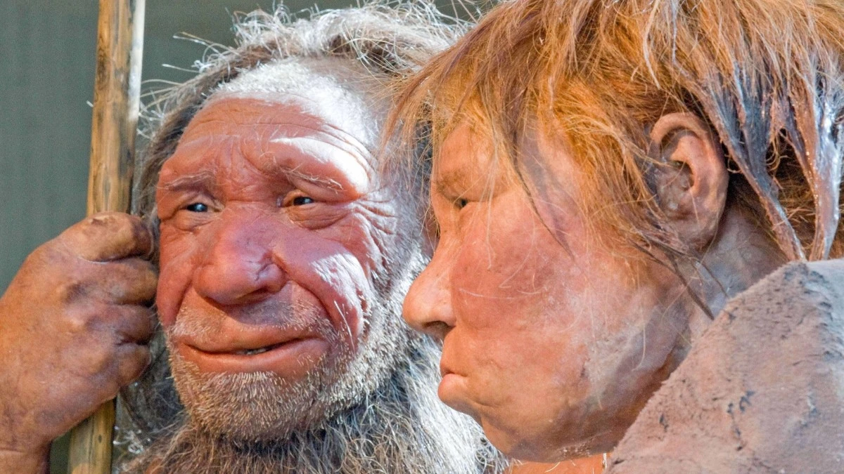 Genetyczny połów: Dlaczego w naszym DNA brakuje neandertalskich chromosomów X?
