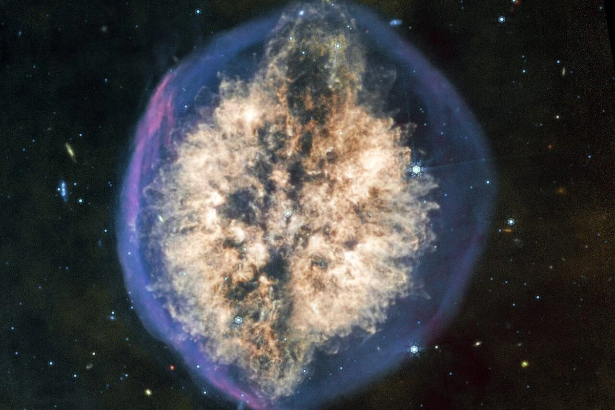 Kosmiczny mózg w skorupie: Niezwykłe zdjęcie z JWST zadziwia naukowców - image 1