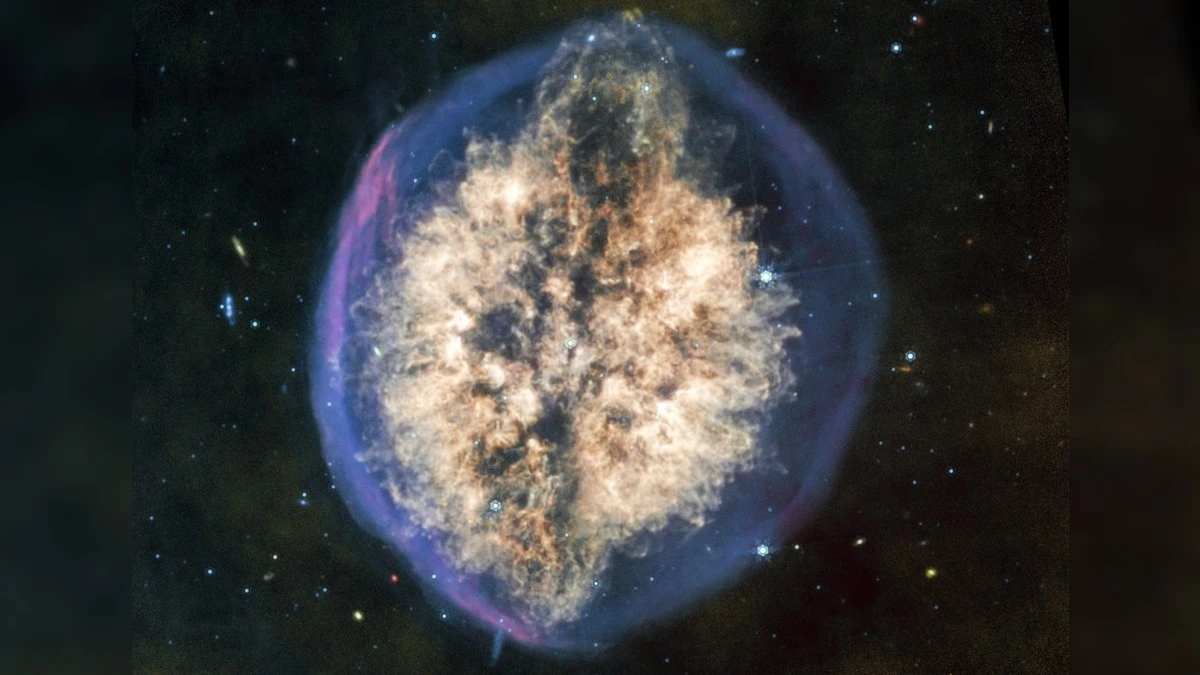 Kosmiczny mózg w skorupie: Niezwykłe zdjęcie z JWST zadziwia naukowców
