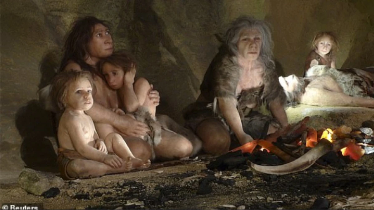 dlaczegoneander-extra-1.webp Dlaczego neandertalczycy zniknęli? Nowe badania wskazują na problematyczne ciąże - image 1