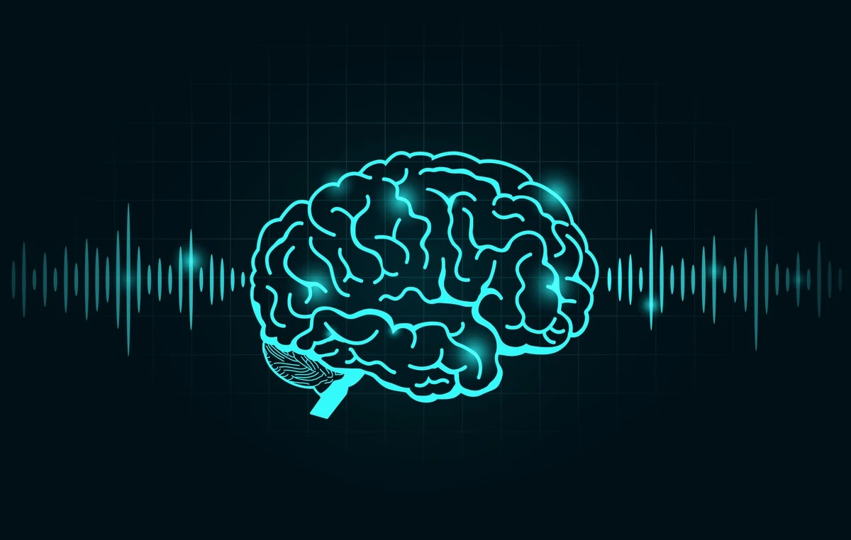 duzszysengeboki-extra-1.webp Dłuższy sen głęboki może chronić przed objawami Alzheimera – nowe badania - image 1