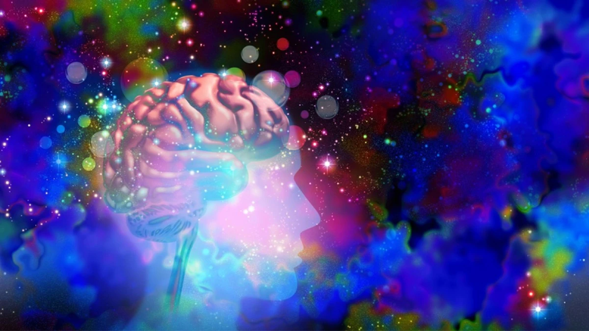 naukowcyodkryli-extra-1.webp Naukowcy odkryli, jak psychodeliki sprawiają, że mózg „śni” na jawie - image 1
