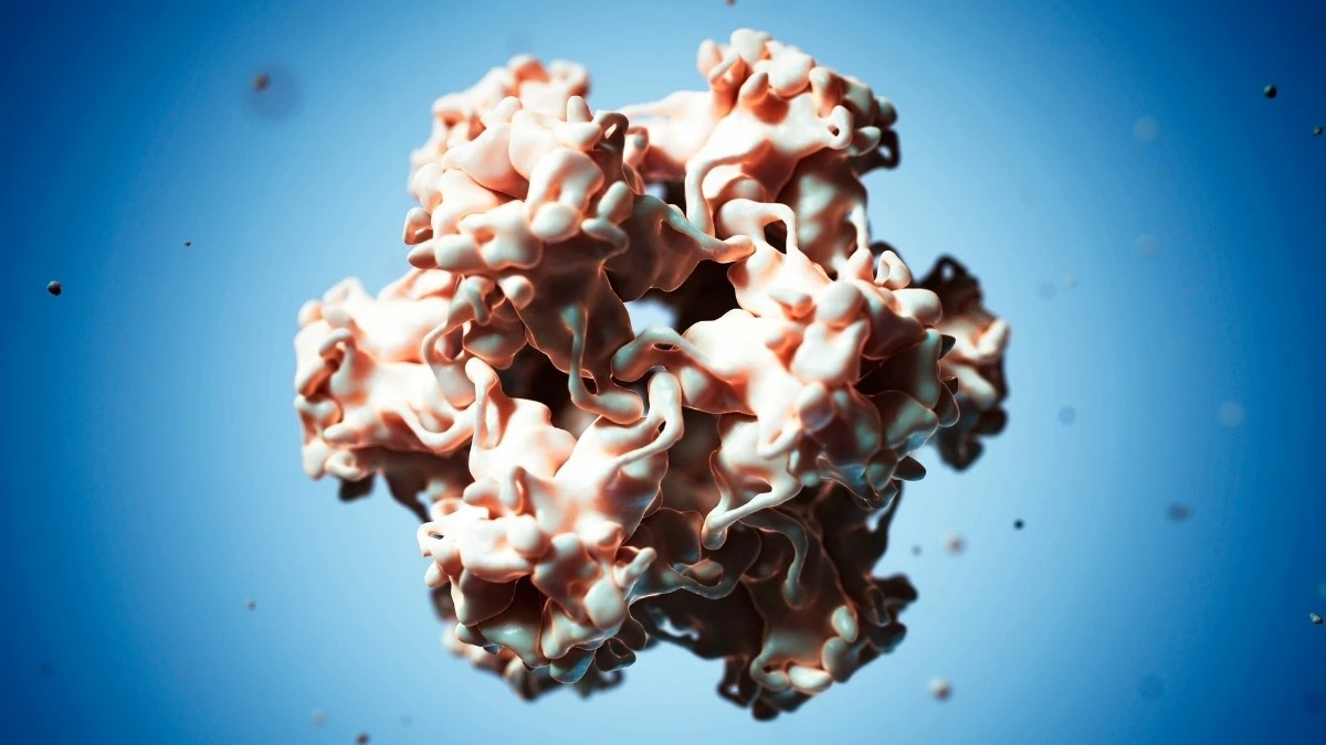 Szczepionka HPV: ochrona przed rakiem szyjki macicy nawet po 20 latach