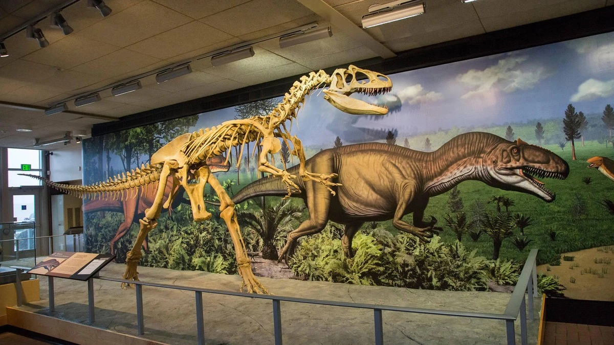Ząb T. Rex w czaszce innego dinozaura: Odkrycie, które zmienia nasze patrzenie na łowcę wszech czasów - image 1